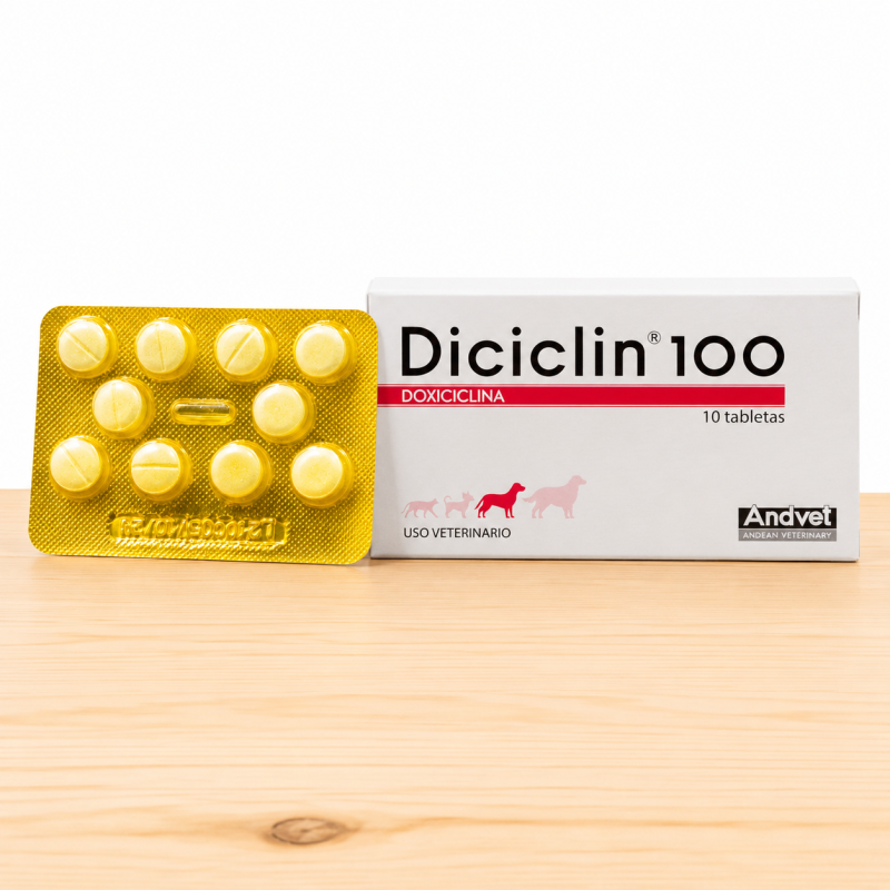 DICICLIN 100 MG _ TAMAÑO X BLISTER 10 UND