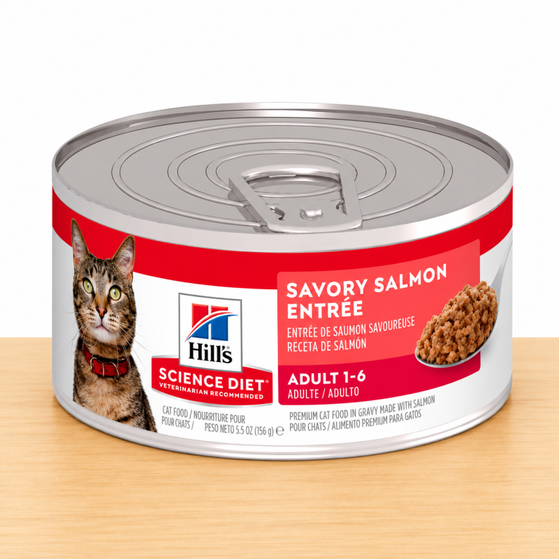 HILLS FELINE SAVORY SALMON LATA X 5.5 OZ