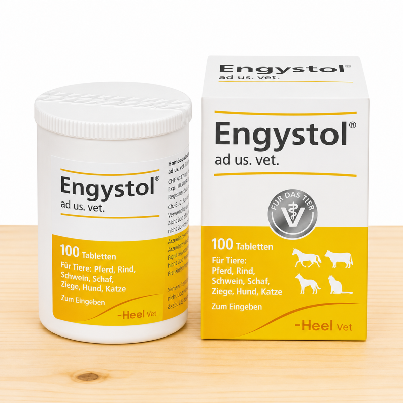 ENGYSTOL TABLETAS _ TAMAÑO FRASCO X 100 UND